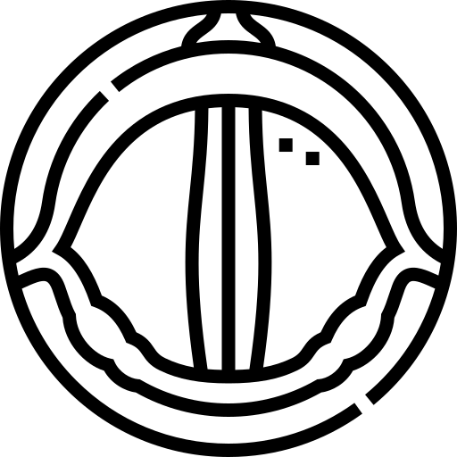 vocal-cords stemband